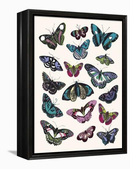 Butterfly Cloud-Clara Wells-Framed Stretched Canvas