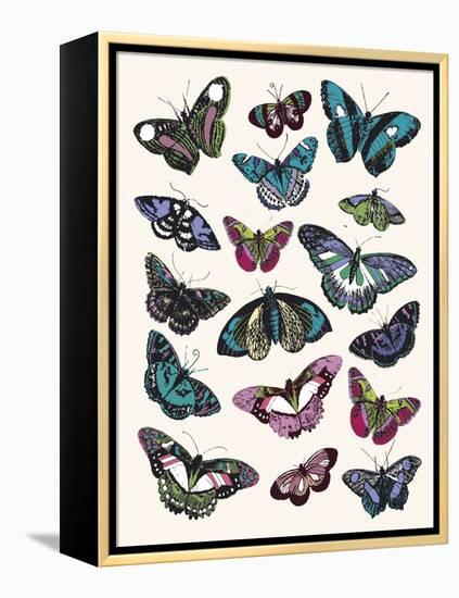 Butterfly Cloud-Clara Wells-Framed Stretched Canvas