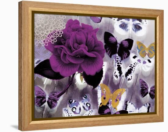 Butterfly Collage Magenta-Evangeline Taylor-Framed Stretched Canvas