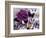 Butterfly Collage Magenta-Evangeline Taylor-Framed Art Print