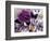 Butterfly Collage Magenta-Evangeline Taylor-Framed Art Print