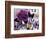 Butterfly Collage Magenta-Evangeline Taylor-Framed Art Print