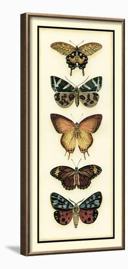 Butterfly Collector V-Chariklia Zarris-Framed Giclee Print