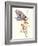 Butterfly Design 1-Judy Mastrangelo-Framed Giclee Print