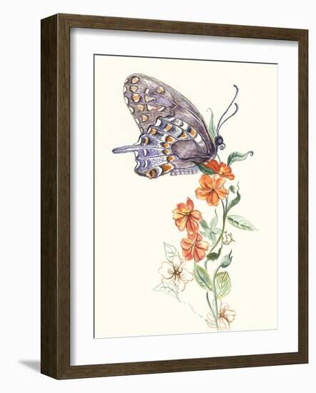Butterfly Design 1-Judy Mastrangelo-Framed Giclee Print