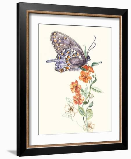 Butterfly Design 1-Judy Mastrangelo-Framed Giclee Print