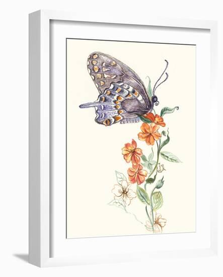 Butterfly Design 1-Judy Mastrangelo-Framed Giclee Print