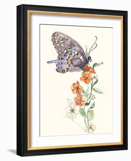 Butterfly Design 1-Judy Mastrangelo-Framed Giclee Print