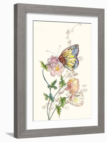 Butterfly Design 2-Judy Mastrangelo-Framed Giclee Print