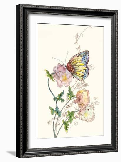 Butterfly Design 2-Judy Mastrangelo-Framed Giclee Print