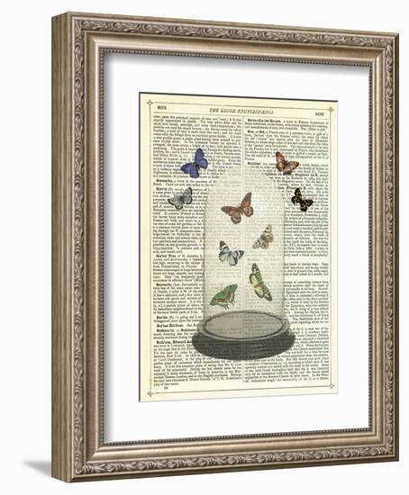 Butterfly Dome-Marion Mcconaghie-Framed Art Print