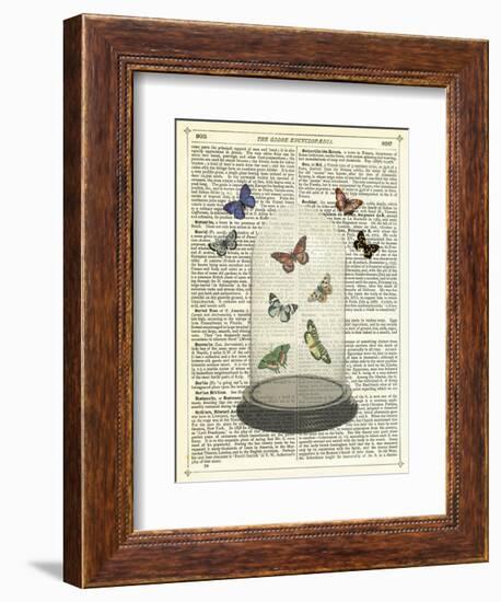 Butterfly Dome-Marion Mcconaghie-Framed Art Print