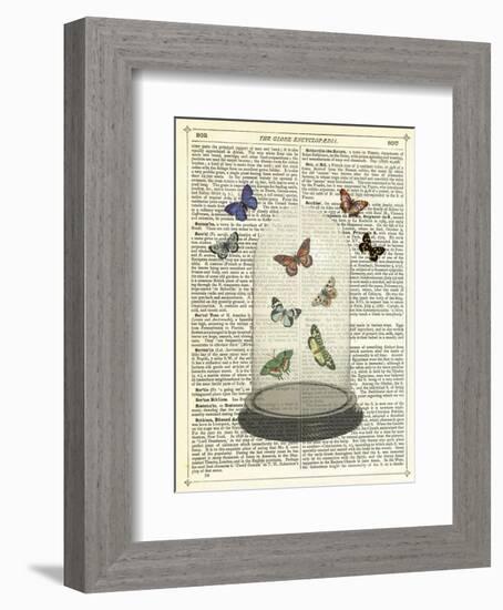 Butterfly Dome-Marion Mcconaghie-Framed Art Print