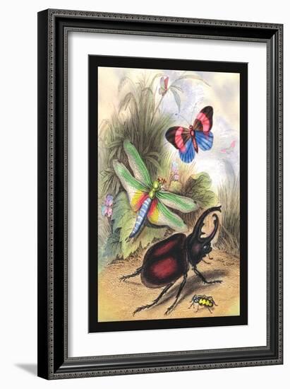 Butterfly, Dragonfly, and Beetles-James Duncan-Framed Art Print