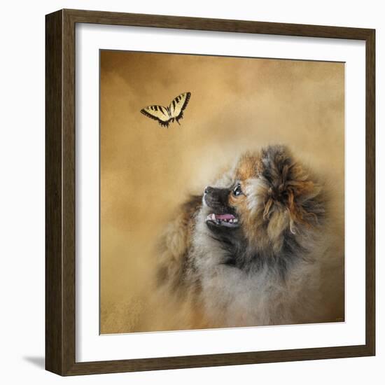 Butterfly Dreams Pomeranian-Jai Johnson-Framed Giclee Print