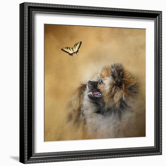 Butterfly Dreams Pomeranian-Jai Johnson-Framed Giclee Print
