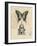 Butterfly Etching-Chad Barrett-Framed Art Print