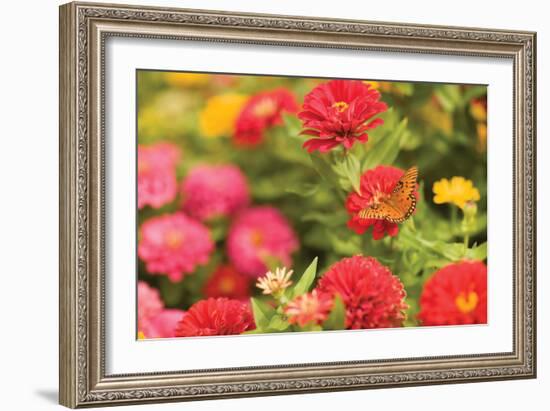 Butterfly Field I-Karyn Millet-Framed Photographic Print