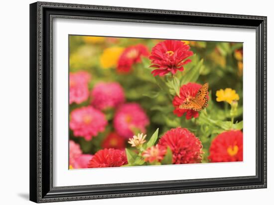 Butterfly Field I-Karyn Millet-Framed Photographic Print