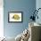 Butterfly Fish, 1849-null-Framed Giclee Print displayed on a wall