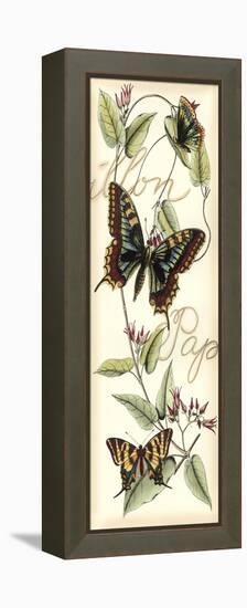 Butterfly Flight I-Vision Studio-Framed Stretched Canvas