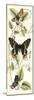 Butterfly Flight II-Vision Studio-Mounted Art Print