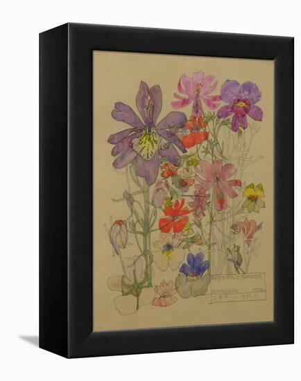 Butterfly Flower, Bowling, 1912-Charles Rennie Mackintosh-Framed Premier Image Canvas