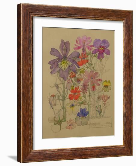 Butterfly Flower, Bowling, 1912-Charles Rennie Mackintosh-Framed Giclee Print