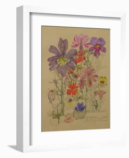 Butterfly Flower, Bowling, 1912-Charles Rennie Mackintosh-Framed Giclee Print