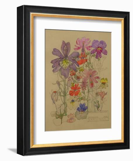 Butterfly Flower, Bowling, 1912-Charles Rennie Mackintosh-Framed Giclee Print