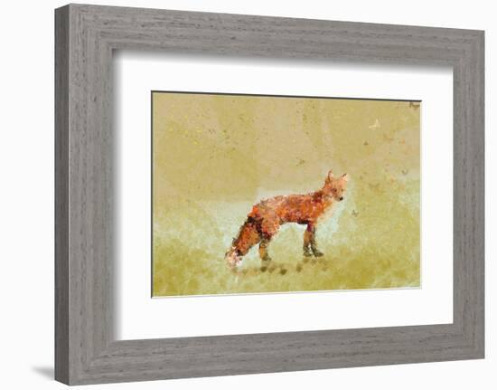 Butterfly Fox-Claire Westwood-Framed Premium Giclee Print