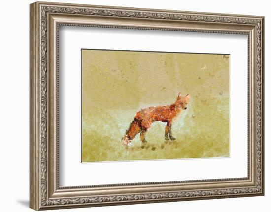 Butterfly Fox-Claire Westwood-Framed Art Print