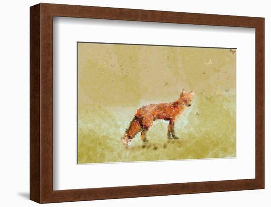 Butterfly Fox-Claire Westwood-Framed Art Print