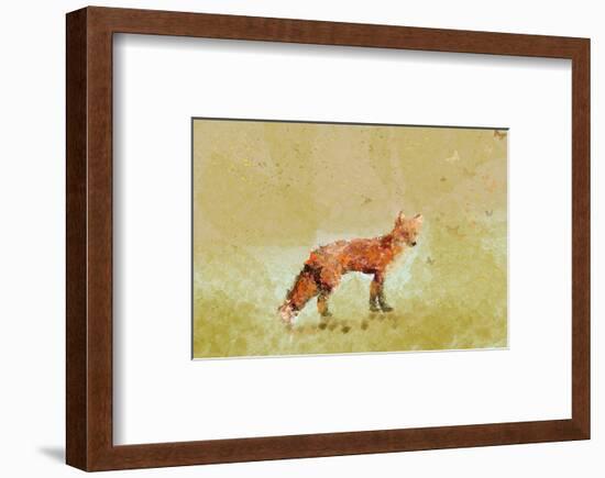 Butterfly Fox-Claire Westwood-Framed Art Print