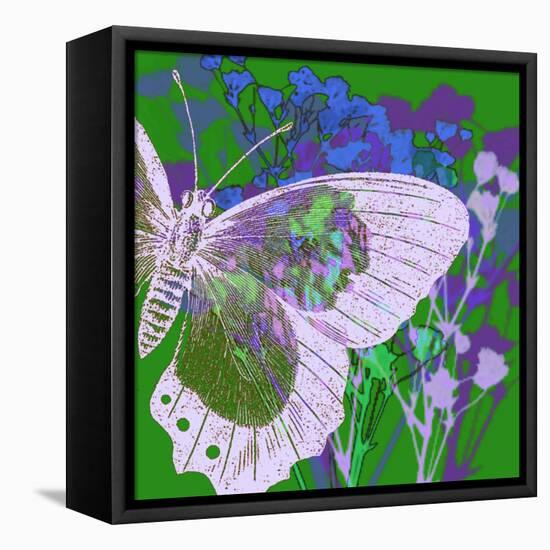 Butterfly Frenzey-Ricki Mountain-Framed Stretched Canvas