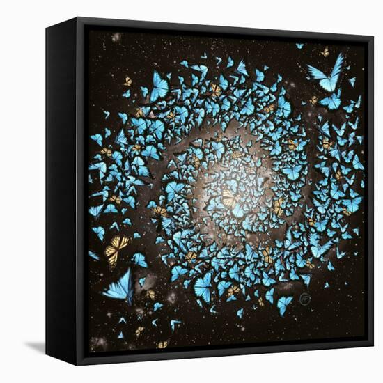 Butterfly Galaxy-Paula Belle Flores-Framed Stretched Canvas