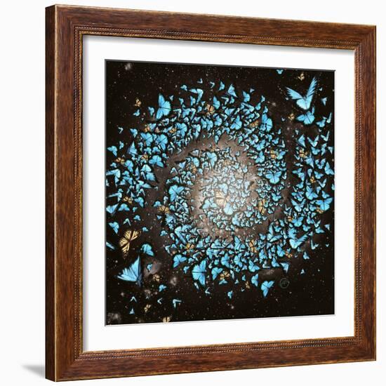 Butterfly Galaxy-Paula Belle Flores-Framed Art Print