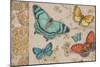 Butterfly Gathering-Chad Barrett-Mounted Art Print