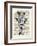 Butterfly Giraffe-Matt Dinniman-Framed Art Print