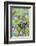 Butterfly Graphium Stresemanni-Darrell Gulin-Framed Photographic Print