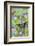 Butterfly Graphium Stresemanni-Darrell Gulin-Framed Photographic Print