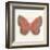 Butterfly I-Sophie Golaz-Framed Premium Giclee Print