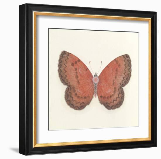 Butterfly I-Sophie Golaz-Framed Premium Giclee Print