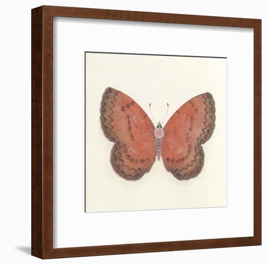 Butterfly I-Sophie Golaz-Framed Premium Giclee Print