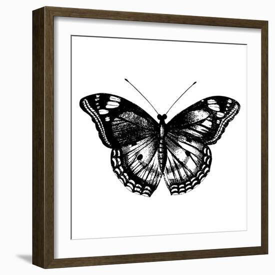 Butterfly I-Clara Wells-Framed Giclee Print