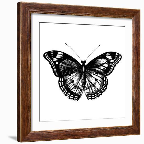 Butterfly I-Clara Wells-Framed Giclee Print