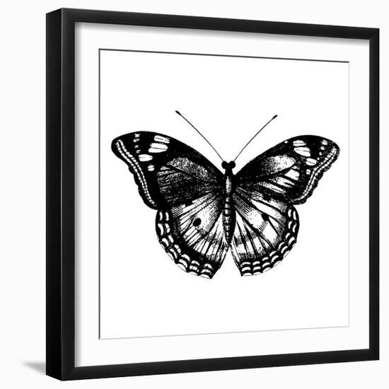 Butterfly I-Clara Wells-Framed Giclee Print