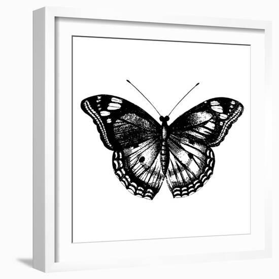 Butterfly I-Clara Wells-Framed Giclee Print