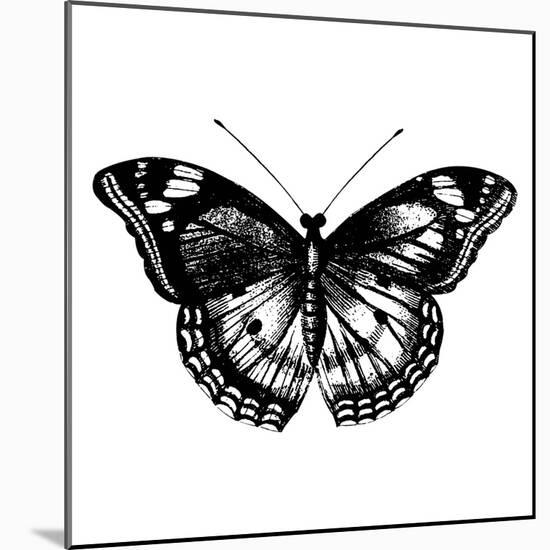 Butterfly I-Clara Wells-Mounted Giclee Print