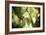 Butterfly I-Erin Berzel-Framed Photographic Print